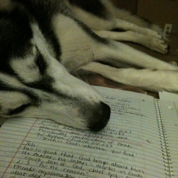 husky on notes